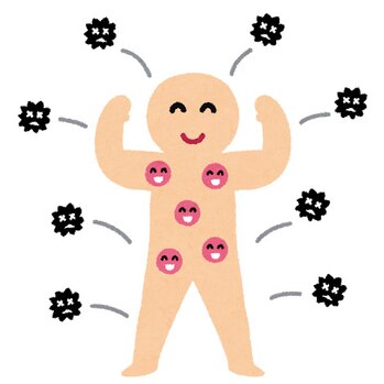 免疫力をアップするための食材9選☆